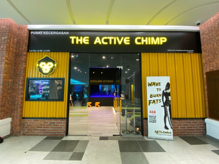 active chimp